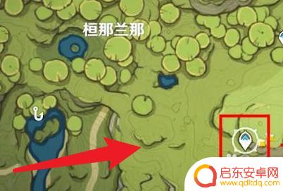 原神森林书宝箱攻略九：如何快速找到所有宝箱？