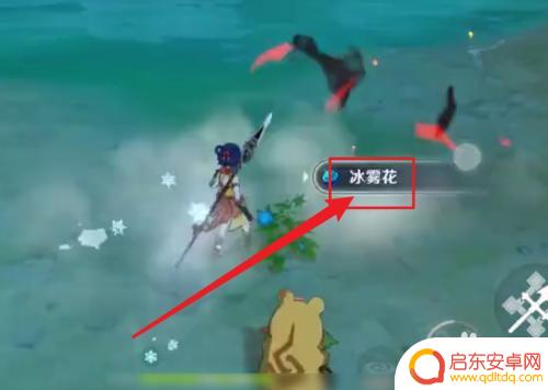 原神采集冰雾花技巧与地点详解