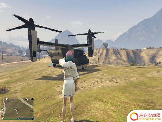 gta5鱼鹰服务(gta5鱼鹰在哪)