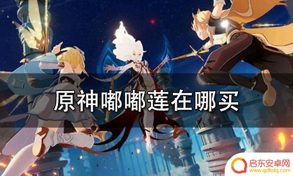 嘟嘟莲原神在哪里买 原神嘟嘟莲在哪里购买
