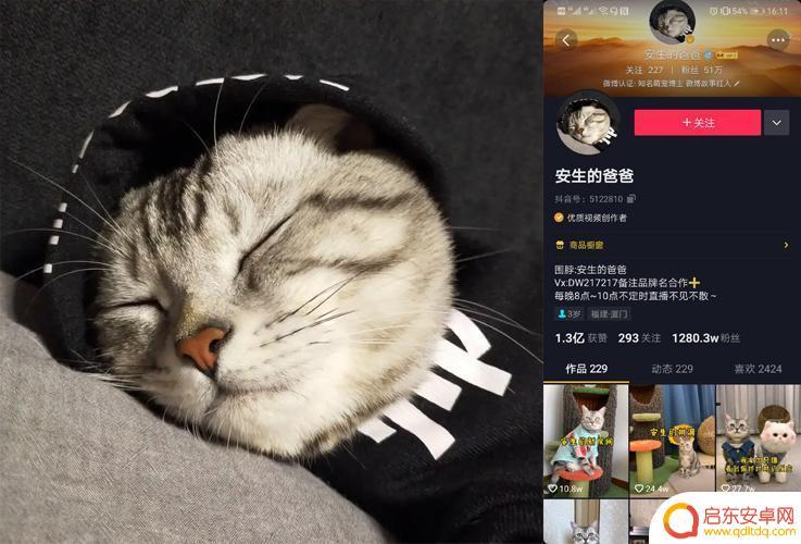 抖音安生直播回放(抖音安生直播回放怎么看)
