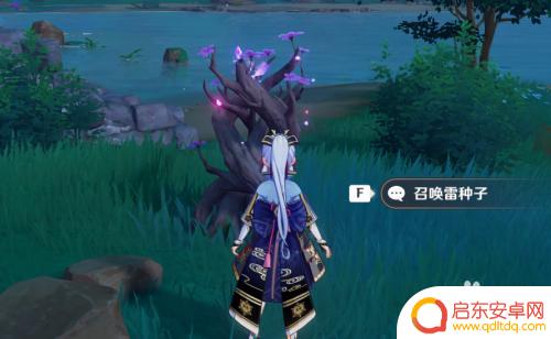 原神雷种子怎么找 原神雷种子在哪里找