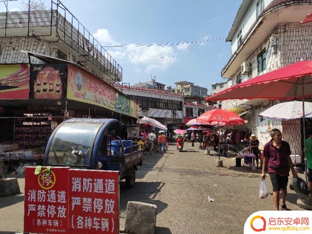 江西永新卖菜抖音(江西永新卖菜抖音怎么样)
