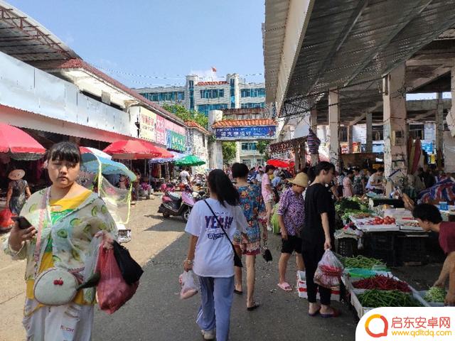 江西永新卖菜抖音(江西永新卖菜抖音怎么样)
