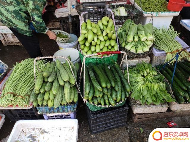 江西永新卖菜抖音(江西永新卖菜抖音怎么样)