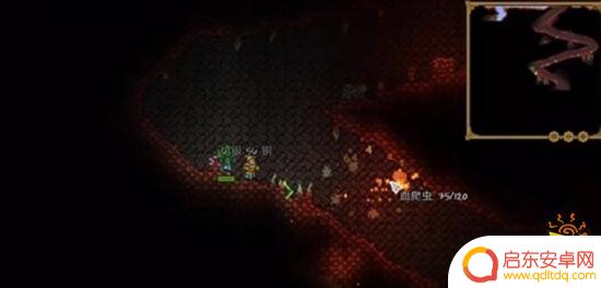 泰拉瑞亚猩红地牢在哪里 泰拉瑞亚猩红之地在哪个地图