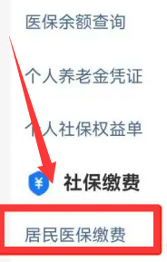 在手机上交农村医保怎么交 农村医保如何在手机上缴费