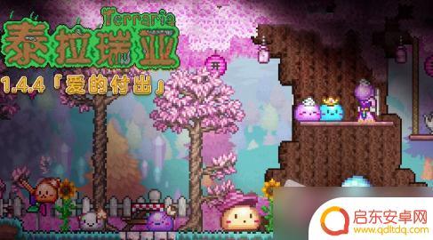 泰拉瑞亚 永恒领域 《泰拉瑞亚》永恒领域种子作用