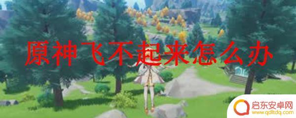 为什么原神里面的神不会飞 原神飞不起来黑屏闪退怎么办