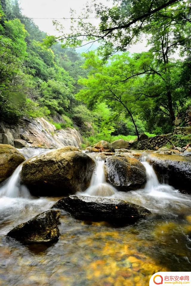 竹林深处抖音文案(竹林深处的文案)