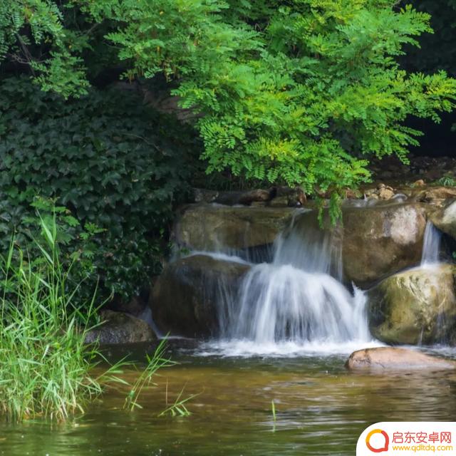 竹林深处抖音文案(竹林深处的文案)