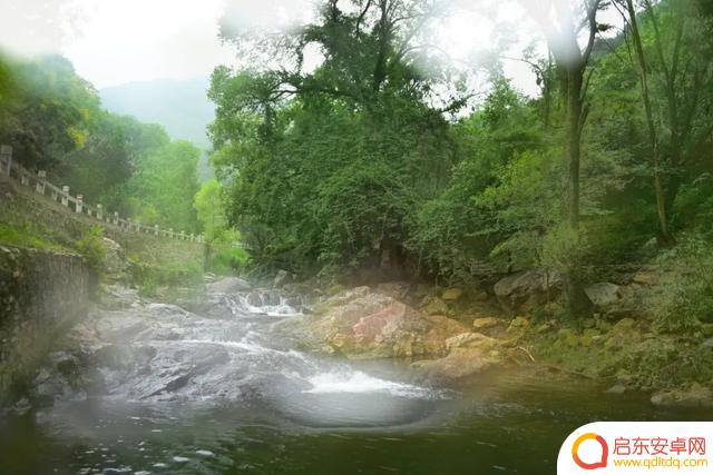 竹林深处抖音文案(竹林深处的文案)