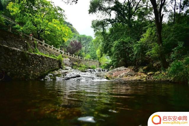 竹林深处抖音文案(竹林深处的文案)