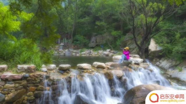 竹林深处抖音文案(竹林深处的文案)