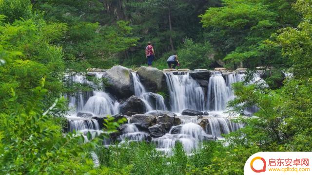 竹林深处抖音文案(竹林深处的文案)