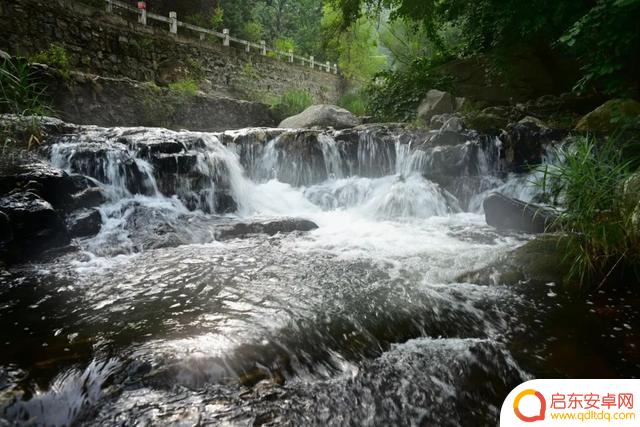 竹林深处抖音文案(竹林深处的文案)