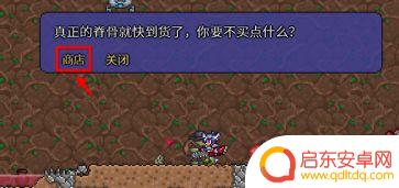 泰拉瑞亚两个悠悠球 《泰拉瑞亚》如何同时装备两个悠悠球