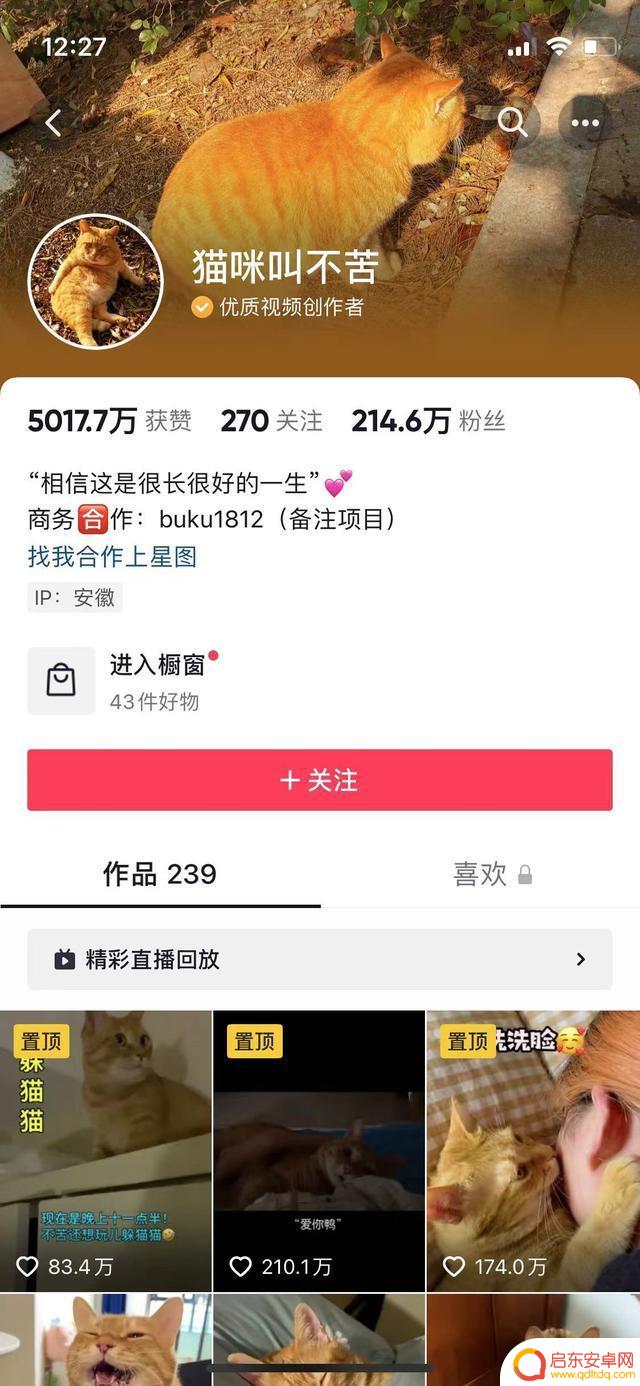 抖音剪辑宠物怎么变现(抖音剪辑宠物怎么变现了呢)