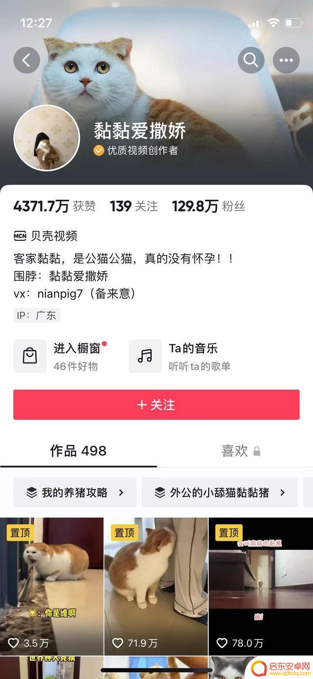 抖音剪辑宠物怎么变现(抖音剪辑宠物怎么变现了呢)