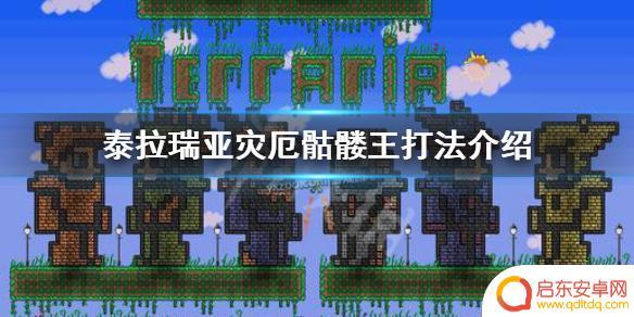骷髅王泰拉瑞亚翻车 《泰拉瑞亚》灾厄骷髅王攻略