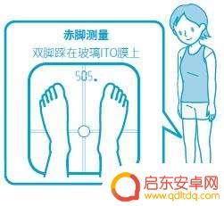 蓝牙体重秤怎么连接 蓝牙体脂秤绑定步骤及测量注意事项