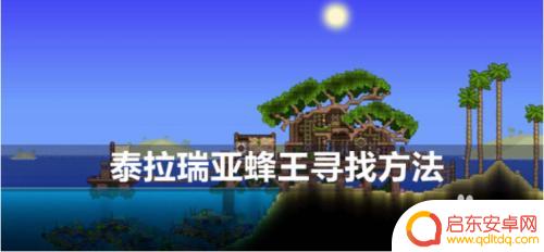 泰拉瑞亚如何快速找蜂王 泰拉瑞亚蜂王控制方法