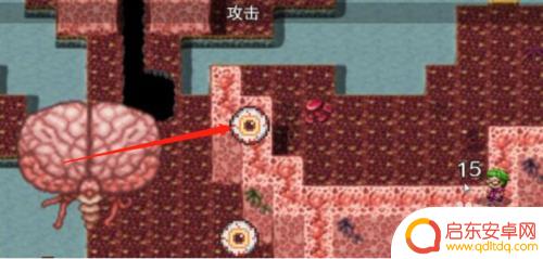 泰拉瑞亚如何快速找蜂王 泰拉瑞亚蜂王控制方法