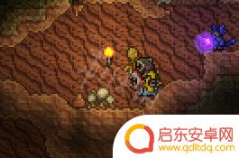 泰拉瑞亚大师模式开荒攻略 泰拉瑞亚大师模式开荒必备技巧