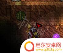 泰拉瑞亚大师模式开荒攻略 泰拉瑞亚大师模式开荒必备技巧