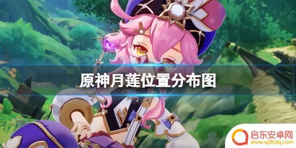 原神须弥水域在哪里地图 《原神》须弥月莲在哪里采集