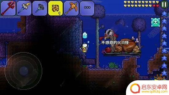 泰拉瑞亚火鸡怎么得 泰拉瑞亚火鸡召唤方法