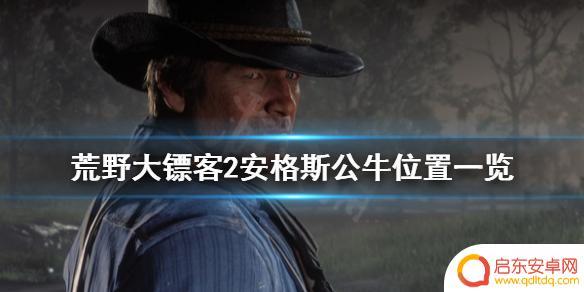 荒野大镖客公牛 荒野大镖客2 安格斯公牛位置