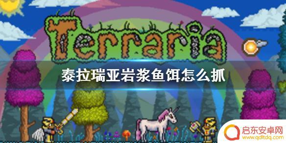 手游泰拉瑞亚怎么挖岩浆 泰拉瑞亚岩浆鱼饵获取方法