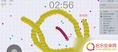 贪吃蛇游戏怎么玩啊 贪吃蛇大作战技巧分享