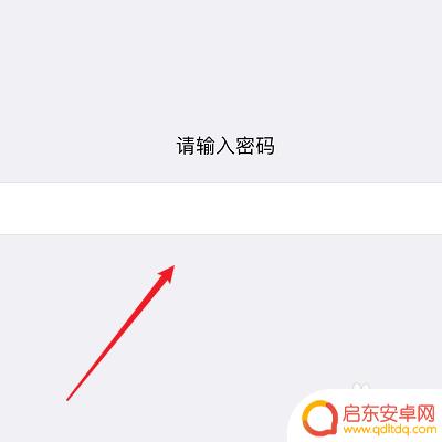 苹果手机无面容怎么解锁 苹果如何设置跳过面容解锁密码