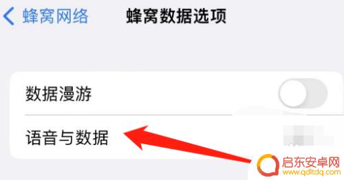 苹果手机拨号断网怎么设置 苹果手机打电话断网怎么办