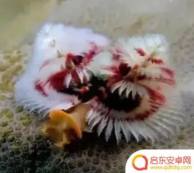 海底景色抖音文案(海底美景朋友圈说说)