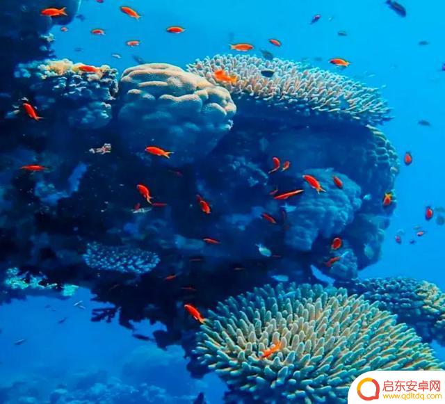 海底景色抖音文案(海底美景朋友圈说说)