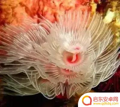 海底景色抖音文案(海底美景朋友圈说说)