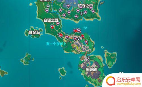 绯樱绣球原神路线 原神绯樱绣球采集路线推荐