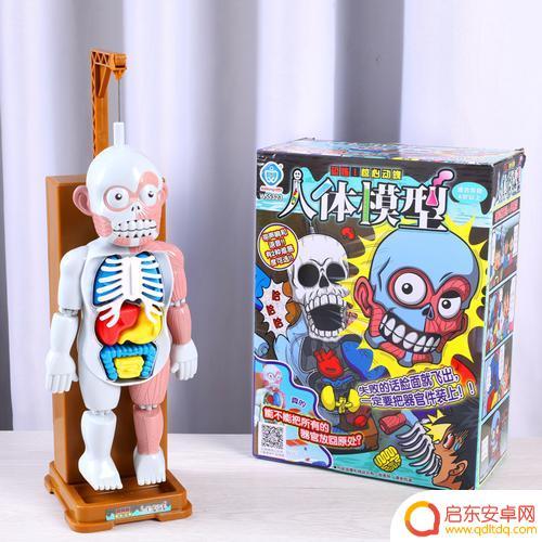 抖音身体模型视频(抖音身体模型视频怎么做)