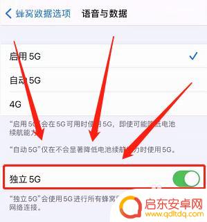 苹果13为什么手机信号很好但网络用不了 苹果13信号满格但无法上网