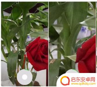 手机焦距设置技巧(手机焦距设置技巧视频)