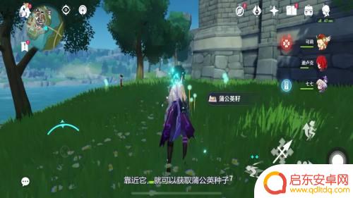 原神中蒲公英种子如何采集 原神蒲公英采集时间