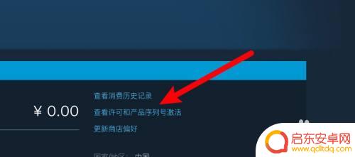 怎么查看steam的代码 steam游戏代码怎么解读