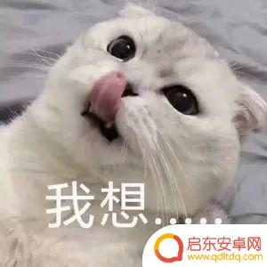 抖音快手美女拍照(抖音快手美女拍照怎么拍)