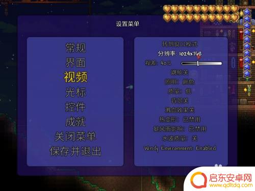泰拉瑞亚界面怎么调舒服 泰拉瑞亚画面大小设置方法