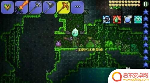 泰拉瑞亚从哪里找蜂后 泰拉瑞亚蜂后怎么刷