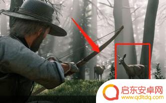 荒野大镖客2传说狐狸皮怎么处理 荒野大镖客2传说动物皮怎么卖钱