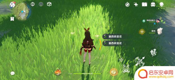 原神雪葬的星银石碑位置 《原神》雪葬的星银八个石碑位置及点亮方法详解